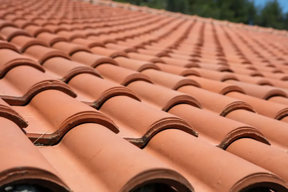 Nettoyage de toiture et demoussage complet _ Vesaignes-sur-Marne (2)